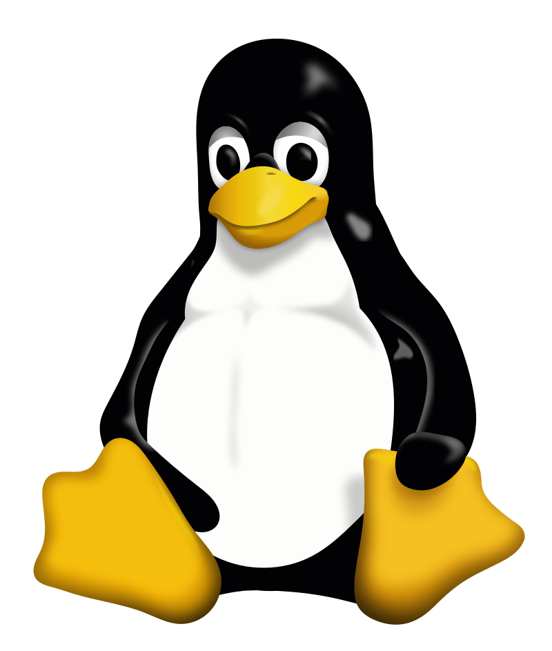 Linux server